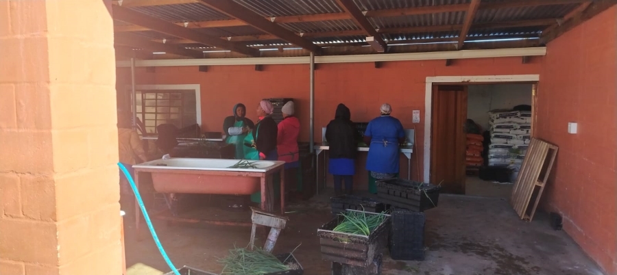 3 Bedroom Property for Sale in Tierfontein AH Western Cape